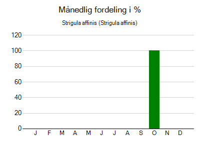 Strigula affinis - månedlig fordeling