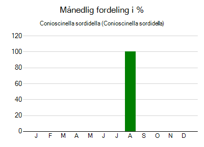 Conioscinella sordidella - månedlig fordeling
