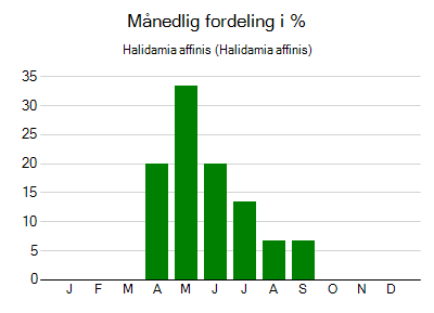Halidamia affinis - månedlig fordeling