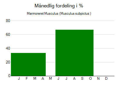 Marmoreret Musculus - månedlig fordeling