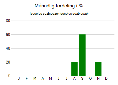 Isocolus scabiosae - månedlig fordeling