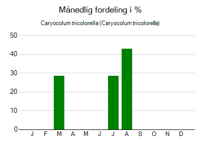 Caryocolum tricolorella - månedlig fordeling