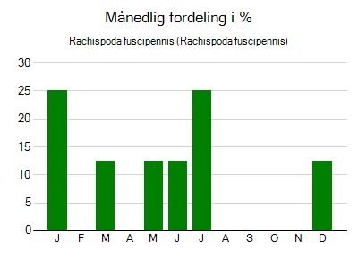 Rachispoda fuscipennis - månedlig fordeling
