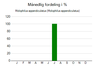 Molophilus appendiculatus - månedlig fordeling