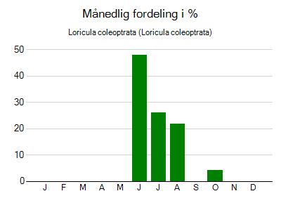 Loricula coleoptrata - månedlig fordeling