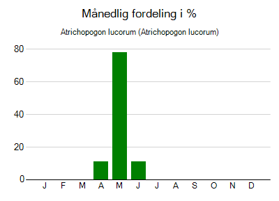 Atrichopogon lucorum - månedlig fordeling