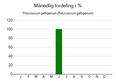 Polycoccum galligenum - månedlig fordeling