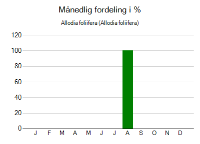Allodia foliifera - månedlig fordeling