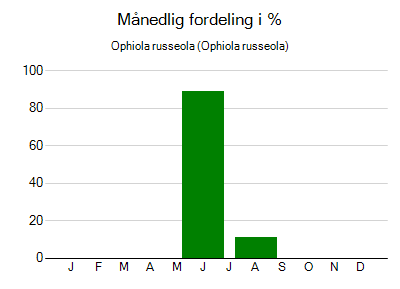 Ophiola russeola - månedlig fordeling