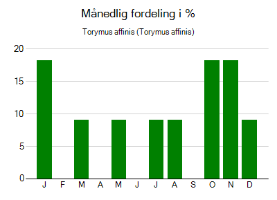 Torymus affinis - månedlig fordeling