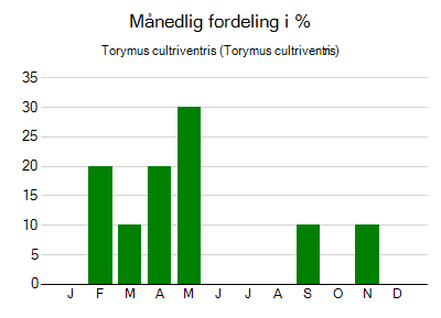 Torymus cultriventris - månedlig fordeling