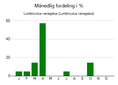 Lumbriculus variegatus - månedlig fordeling
