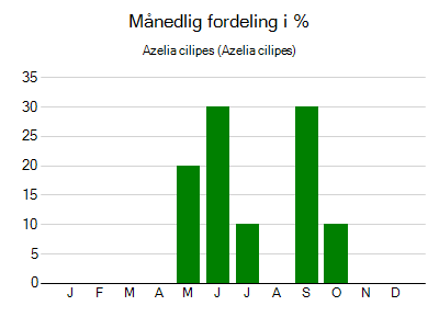 Azelia cilipes - månedlig fordeling