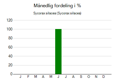 Sycorax silacea - månedlig fordeling