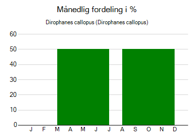 Dirophanes callopus - månedlig fordeling