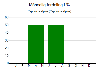 Cephalcia alpina - månedlig fordeling