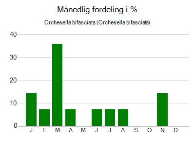 Orchesella bifasciata - månedlig fordeling