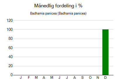 Badhamia panicea - månedlig fordeling