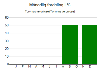 Torymus veronicae - månedlig fordeling