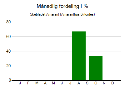 Skebladet Amarant - månedlig fordeling