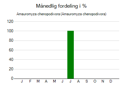 Amauromyza chenopodivora - månedlig fordeling