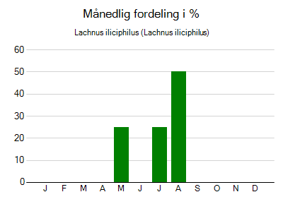 Lachnus iliciphilus - månedlig fordeling