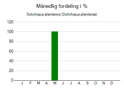 Dolichopus planitarsis - månedlig fordeling