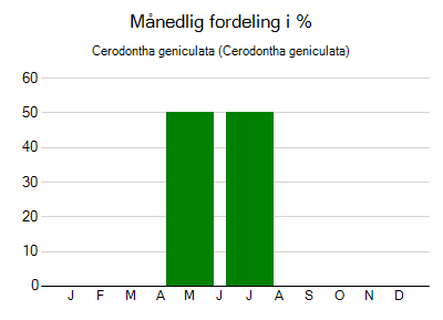 Cerodontha geniculata - månedlig fordeling