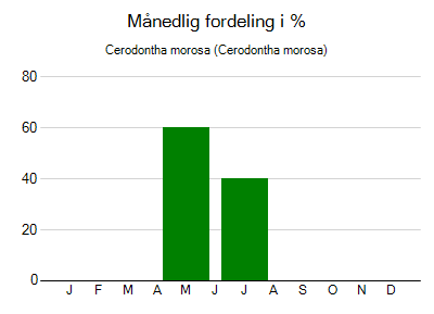 Cerodontha morosa - månedlig fordeling