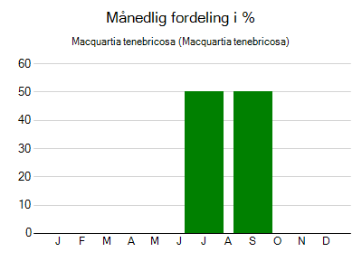 Macquartia tenebricosa - månedlig fordeling