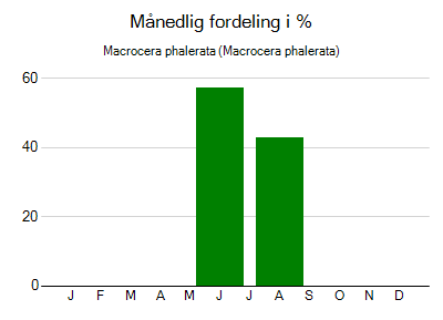 Macrocera phalerata - månedlig fordeling