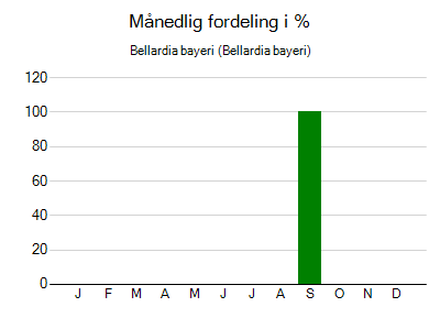 Bellardia bayeri - månedlig fordeling