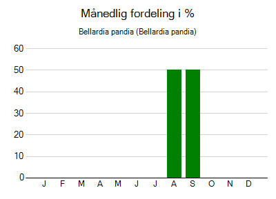 Bellardia pandia - månedlig fordeling