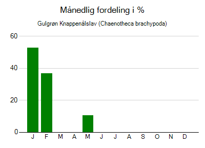 Gulgrøn Knappenålslav - månedlig fordeling