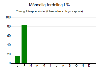 Citrongul Knappenålslav - månedlig fordeling