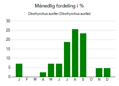 Otiorhynchus aurifer - månedlig fordeling