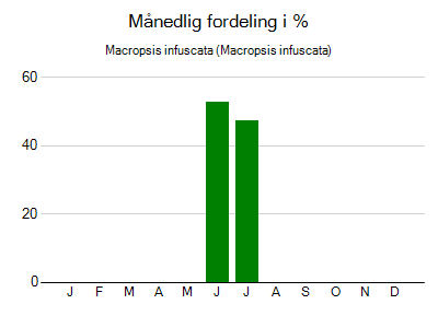 Macropsis infuscata - månedlig fordeling