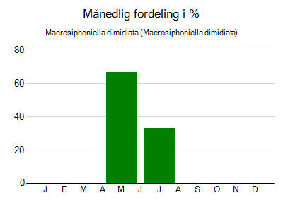 Macrosiphoniella dimidiata - månedlig fordeling