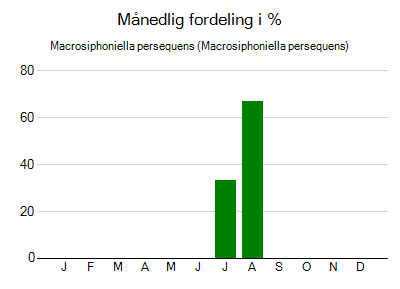Macrosiphoniella persequens - månedlig fordeling