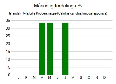Islandsk Ryle/Lille Kobbersneppe - månedlig fordeling