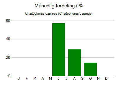 Chaitophorus capreae - månedlig fordeling