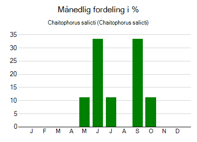 Chaitophorus salicti - månedlig fordeling