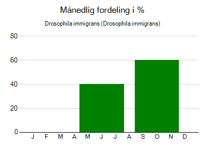 Drosophila immigrans - månedlig fordeling