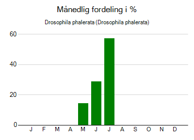 Drosophila phalerata - månedlig fordeling
