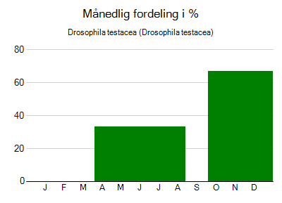 Drosophila testacea - månedlig fordeling