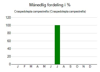 Craspedolepta campestrella - månedlig fordeling