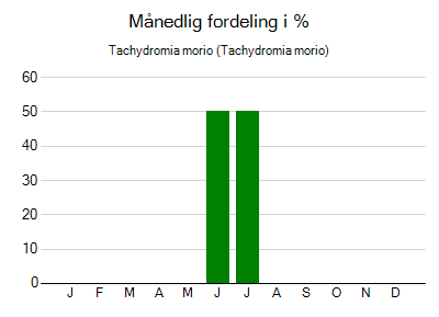 Tachydromia morio - månedlig fordeling