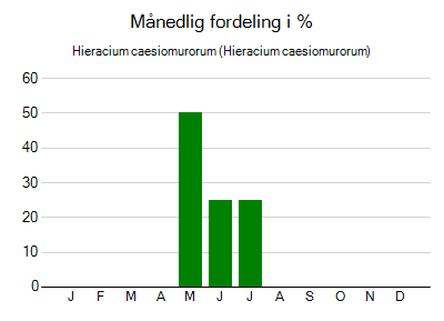 Hieracium caesiomurorum - månedlig fordeling