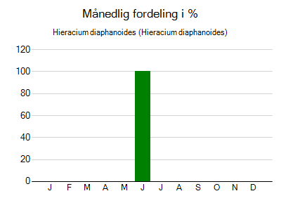 Hieracium diaphanoides - månedlig fordeling