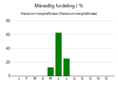 Hieracium marginelliceps - månedlig fordeling